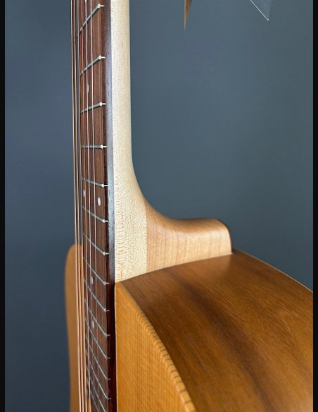Seagull Walnut Dreadnought Fishman Isyst