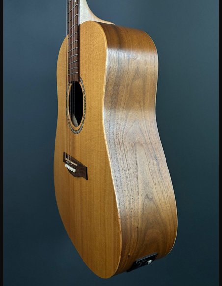 Seagull Walnut Dreadnought Fishman Isyst