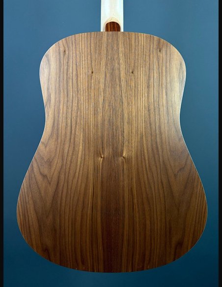 Seagull Walnut Dreadnought Fishman Isyst