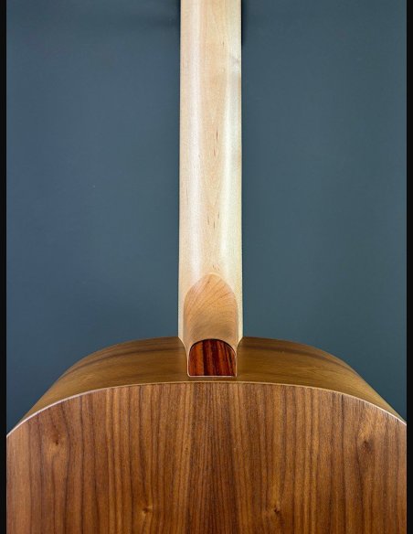 Seagull Walnut Dreadnought Fishman Isyst