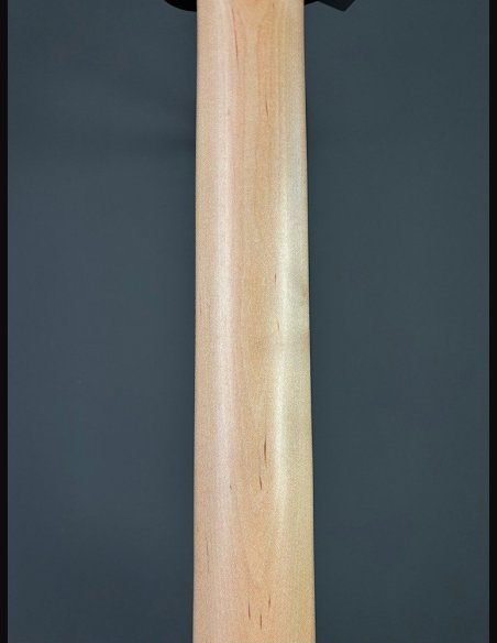 Seagull Walnut Dreadnought Fishman Isyst