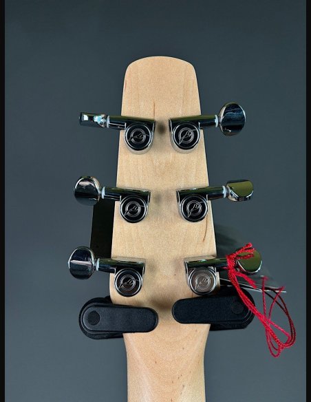 Seagull Walnut Dreadnought Fishman Isyst