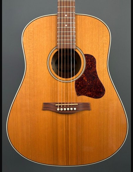 Seagull Coastline Momentum HG A/E