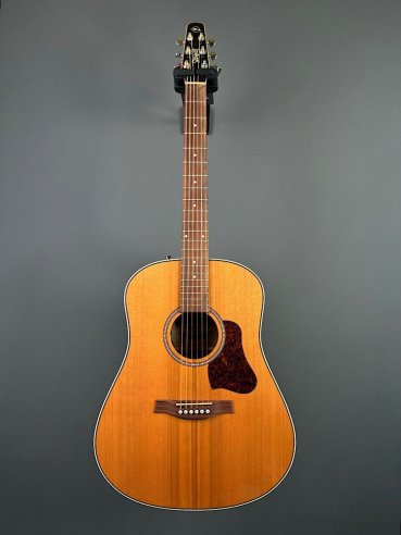 Seagull Coastline Momentum HG A/E