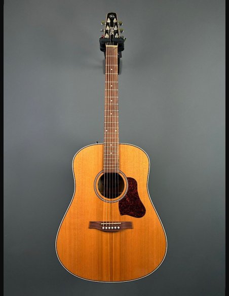 Seagull Coastline Momentum HG A/E