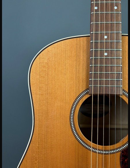 Seagull Coastline Momentum HG A/E