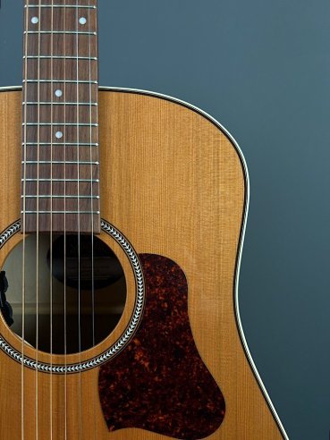 Seagull Coastline Momentum HG A/E