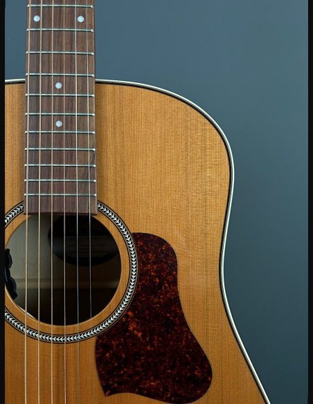 Seagull Coastline Momentum HG A/E