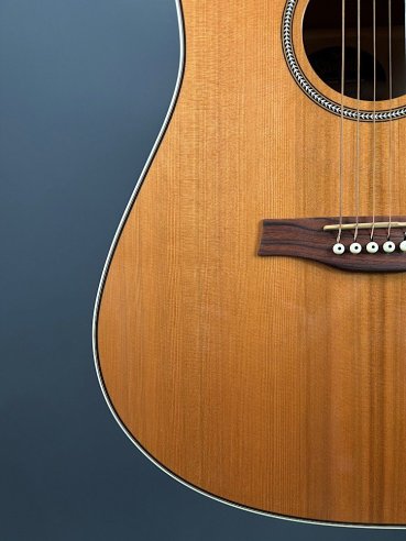 Seagull Coastline Momentum HG A/E