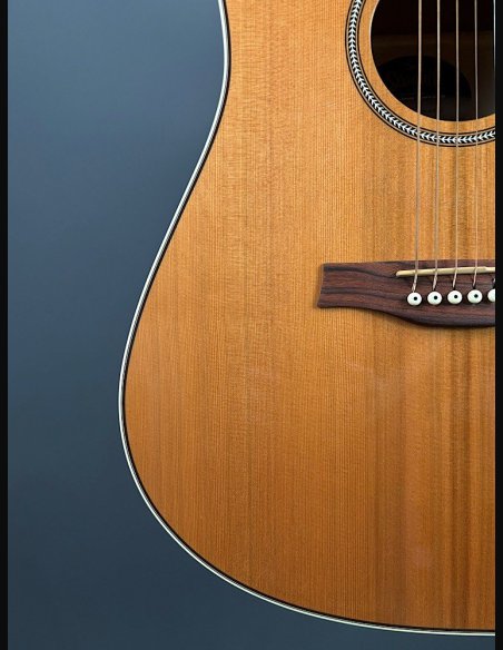 Seagull Coastline Momentum HG A/E