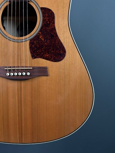 Seagull Coastline Momentum HG A/E