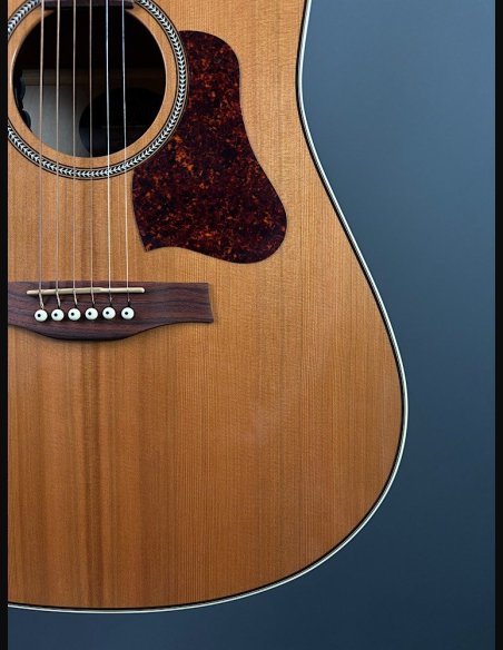 Seagull Coastline Momentum HG A/E