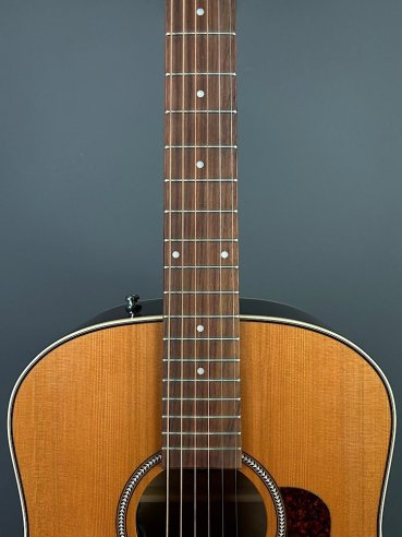 Seagull Coastline Momentum HG A/E