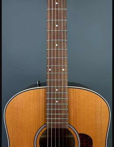 Seagull Coastline Momentum HG A/E