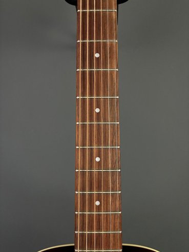 Seagull Coastline Momentum HG A/E