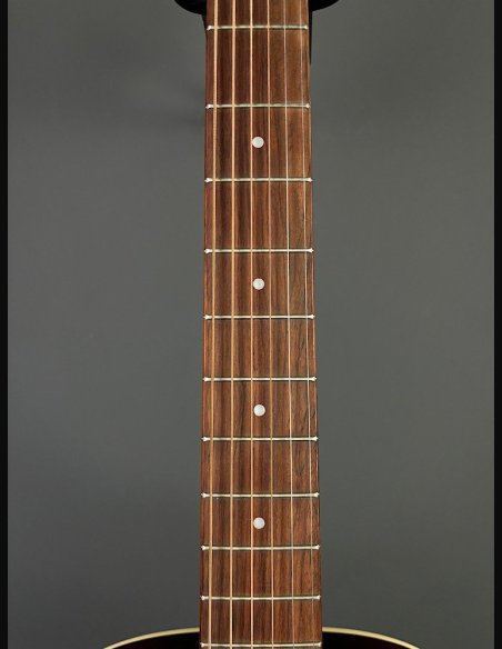 Seagull Coastline Momentum HG A/E