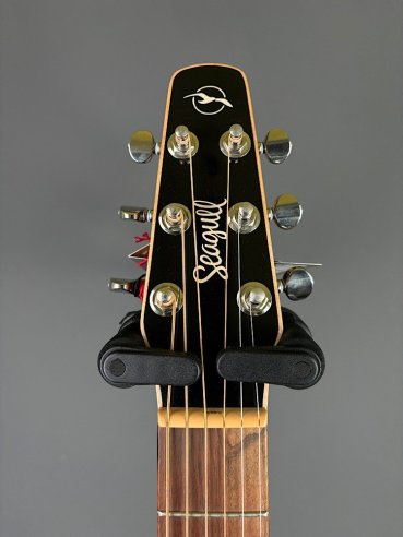 Seagull Coastline Momentum HG A/E