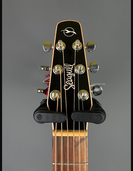 Seagull Coastline Momentum HG A/E