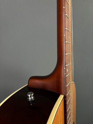 Seagull Coastline Momentum HG A/E