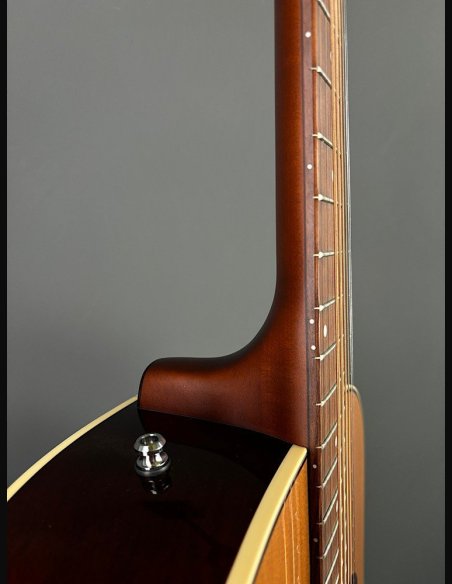 Seagull Coastline Momentum HG A/E