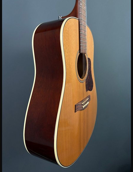 Seagull Coastline Momentum HG A/E