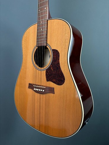 Seagull Coastline Momentum HG A/E