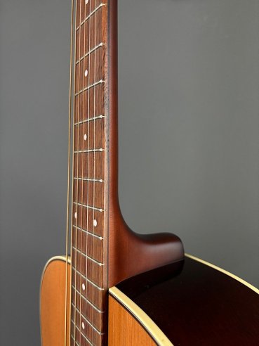 Seagull Coastline Momentum HG A/E