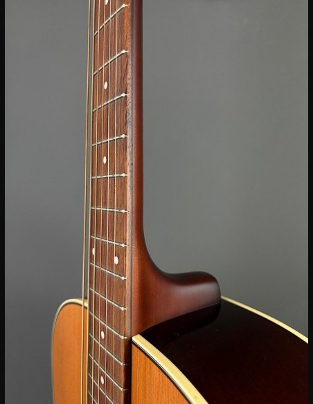 Seagull Coastline Momentum HG A/E