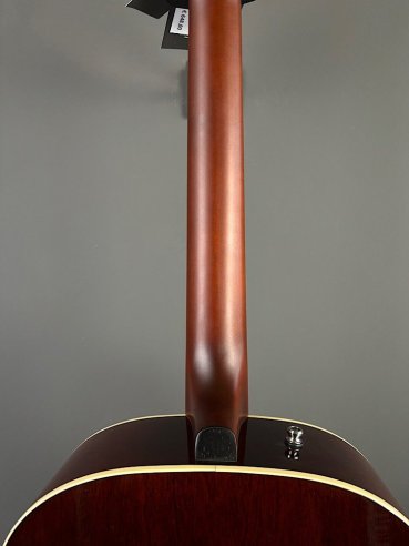 Seagull Coastline Momentum HG A/E