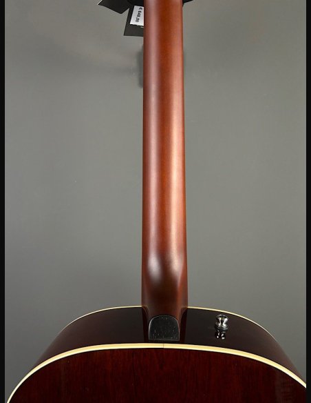 Seagull Coastline Momentum HG A/E