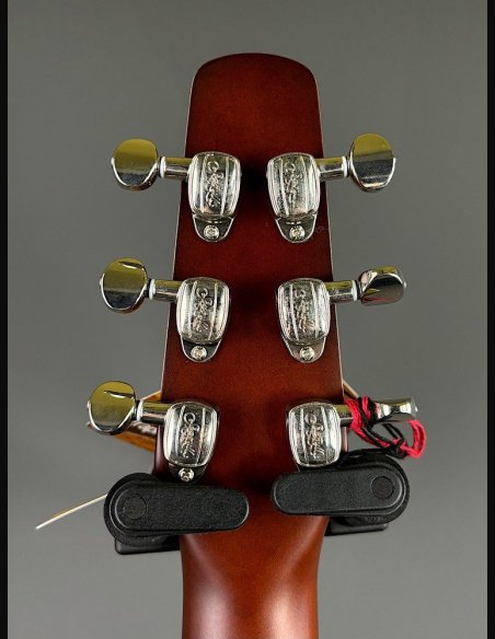 Seagull Coastline Momentum HG A/E