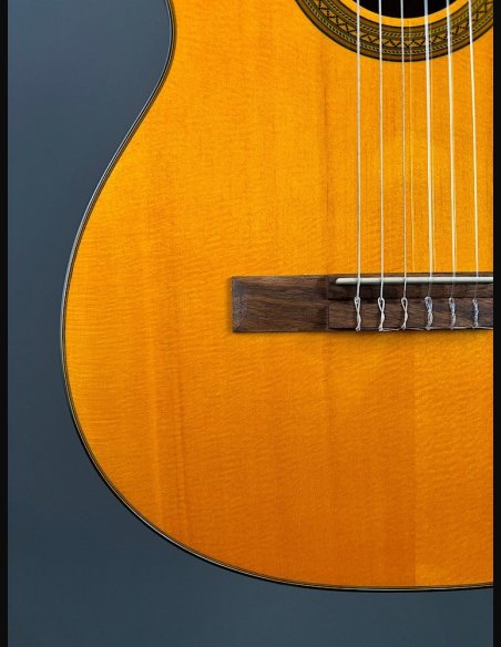 Takamine GC1CE Nat Chitarra Classica Elettrificata