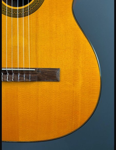 Takamine GC1CE Nat Chitarra Classica Elettrificata