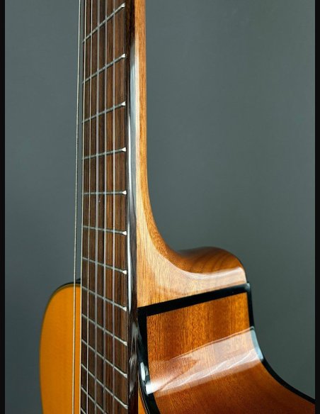 Takamine GC1CE Nat Chitarra Classica Elettrificata