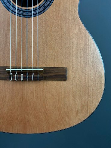 Gewa Student Chitarra Classica Cedar 4/4