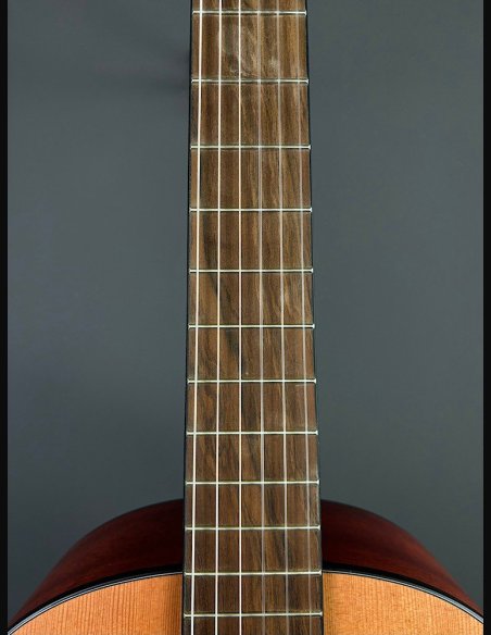 Gewa Student Chitarra Classica Cedar 4/4