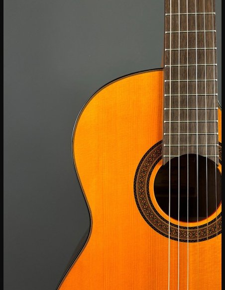 Takamine GC5CE Nat Chitarra Classica Elettrificata