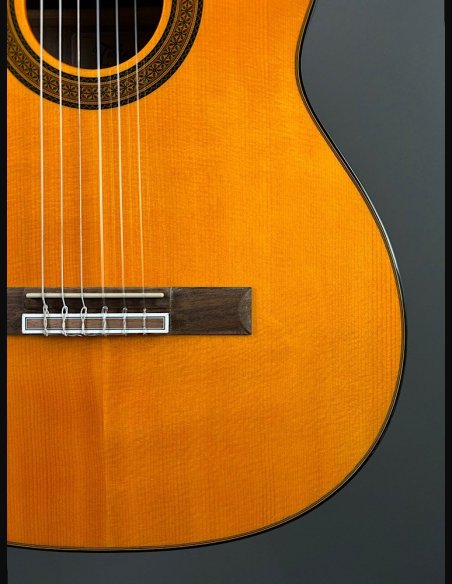 Takamine GC5CE Nat Chitarra Classica Elettrificata