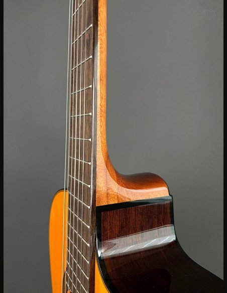 Takamine GC5CE Nat Chitarra Classica Elettrificata