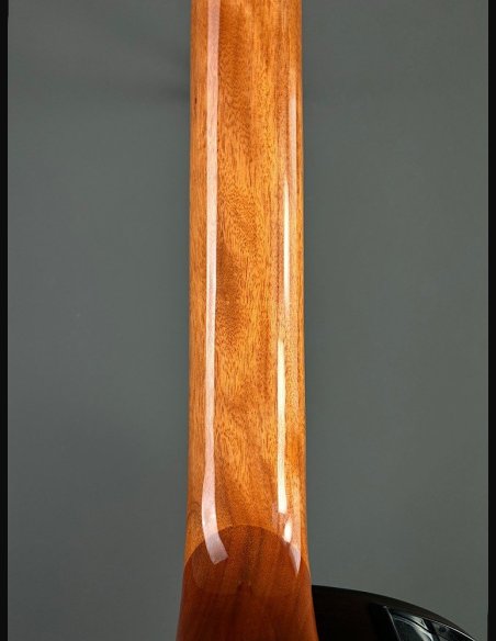 Takamine GC5CE Nat Chitarra Classica Elettrificata