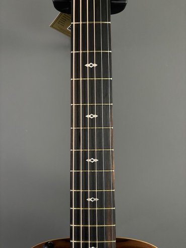 Taylor GS Mini-e Sunburst Rosewood VGS 50TH Anniversary LTD