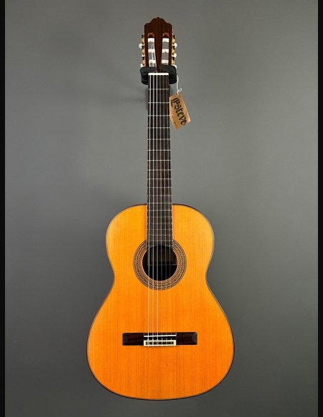 Esteve Modello 5 Chitarra Classica