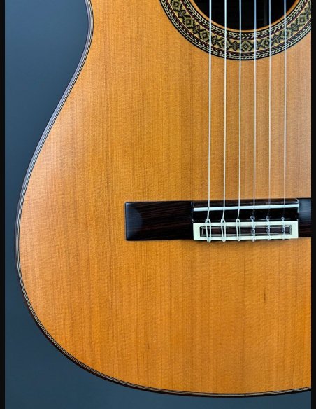 Esteve Modello 5 Chitarra Classica
