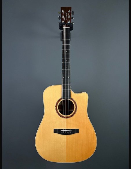 Lakewood D14 CP HX Chitarra Folk Elettrificata
