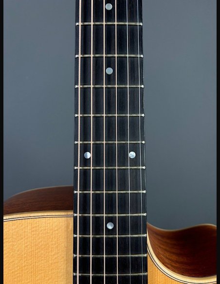 Lakewood D14 CP HX Chitarra Folk Elettrificata