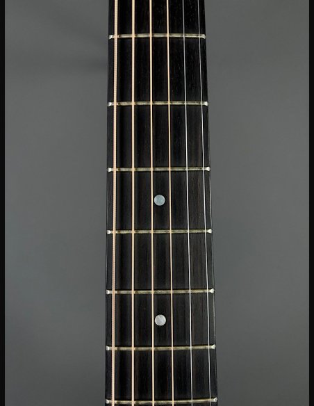 Lakewood D14 CP HX Chitarra Folk Elettrificata