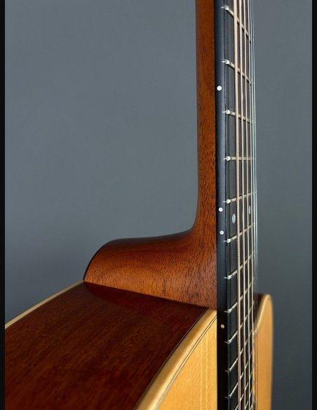 Lakewood D14 CP HX Chitarra Folk Elettrificata