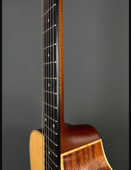 Lakewood D14 CP HX Chitarra Folk Elettrificata