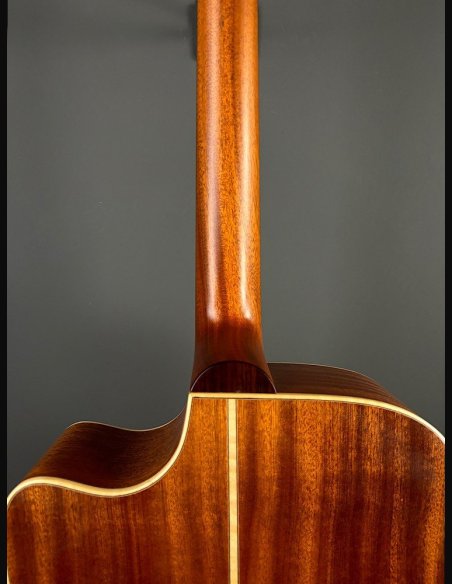 Lakewood D14 CP HX Chitarra Folk Elettrificata