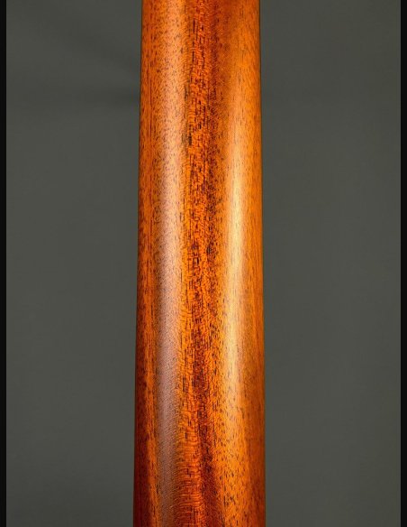 Lakewood D14 CP HX Chitarra Folk Elettrificata